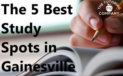 The 5 Best Study Spots in Gainesville