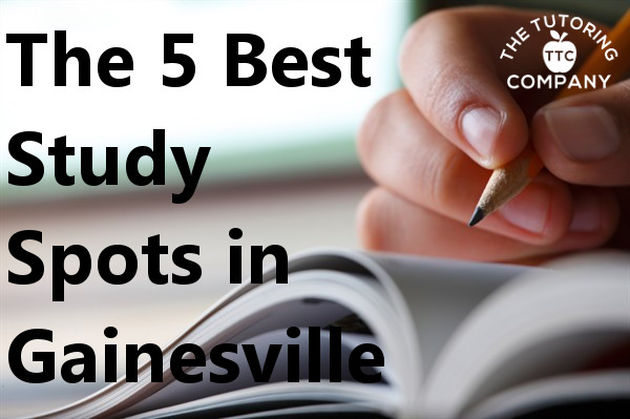 The 5 Best Study Spots in Gainesville