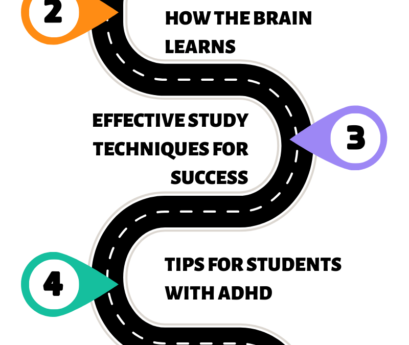 Overcoming Learning Differences in St. Augustine: Study Strategies That Work